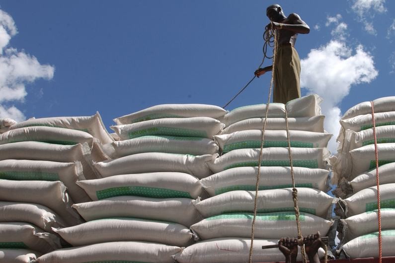 La guerre au Moyen-Orient, un choc pour la production alimentaire mondiale